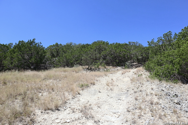 1085 White Bluff Rd Property Photo 6