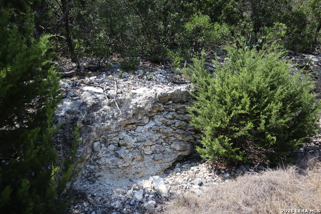 1085 White Bluff Rd Property Photo 19