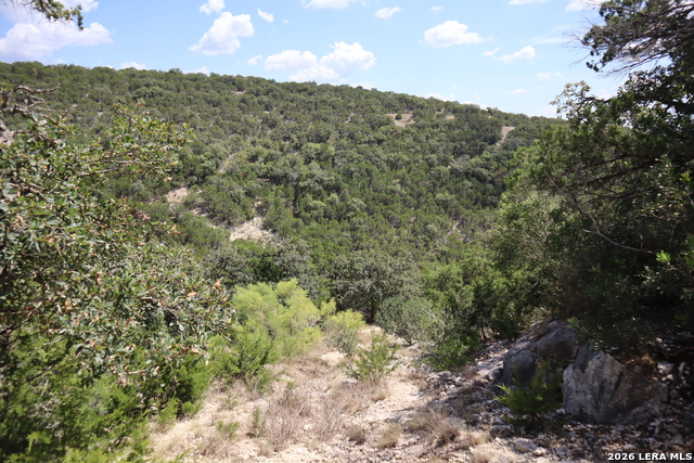 1085 White Bluff Rd Property Photo 21