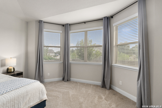 2326 Pesaro Point Property Photo 14