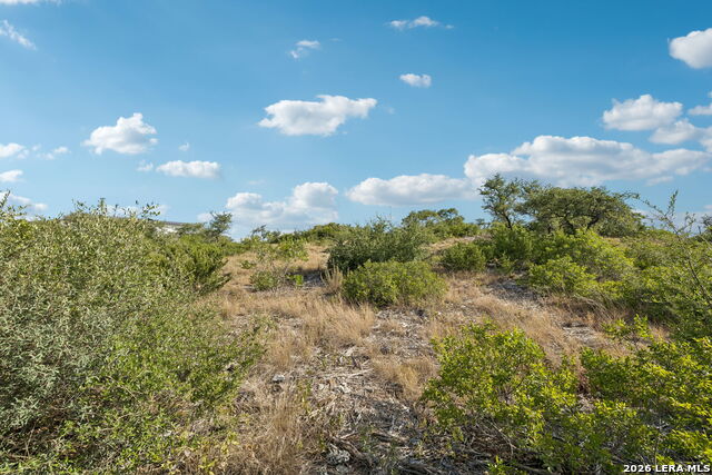 22802 Linwood Ridge Property Photo 5