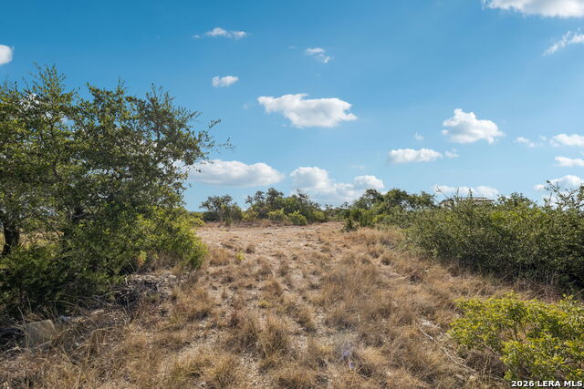 22802 Linwood Ridge Property Photo 8