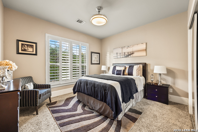 11011 Anaqua Spgs Property Photo 48