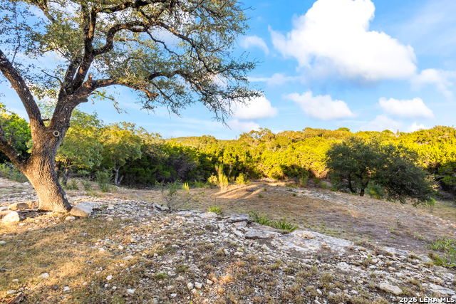 11011 Anaqua Spgs Property Photo 68