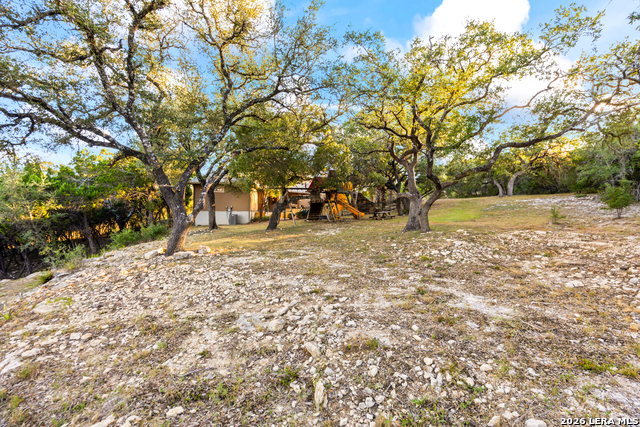 11011 Anaqua Spgs Property Photo 69