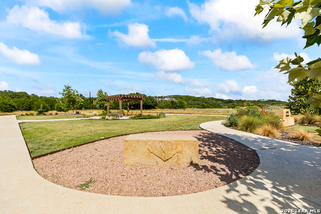11011 Anaqua Spgs Property Photo 89