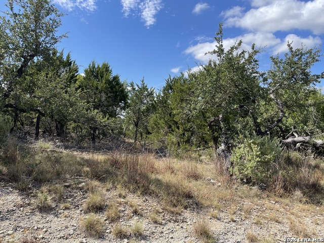 245 Bluebonnet Breeze Property Photo 4