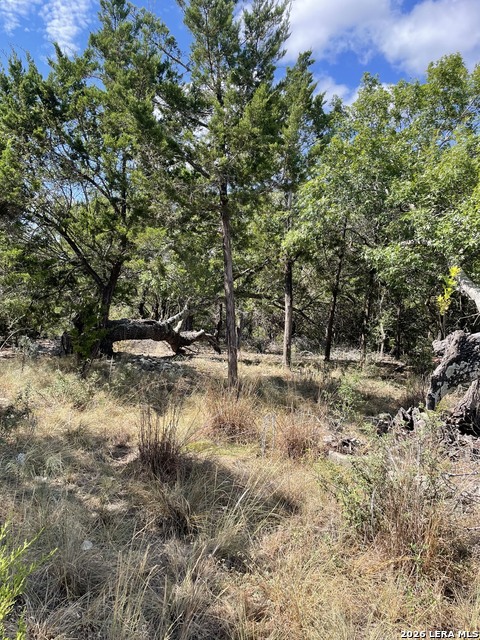 245 Bluebonnet Breeze Property Photo 5
