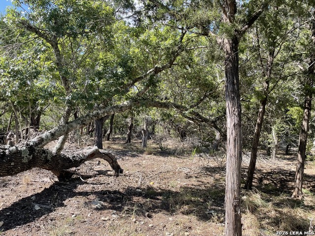245 Bluebonnet Breeze Property Photo 6