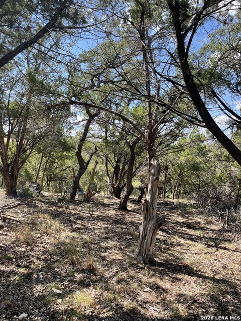 245 Bluebonnet Breeze Property Photo 8