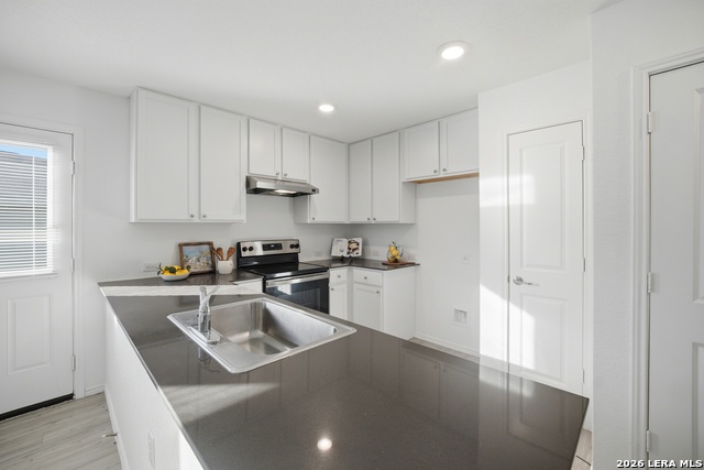 1355 Art Wall Way Property Photo 15