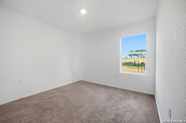 1355 Art Wall Way Property Photo 19
