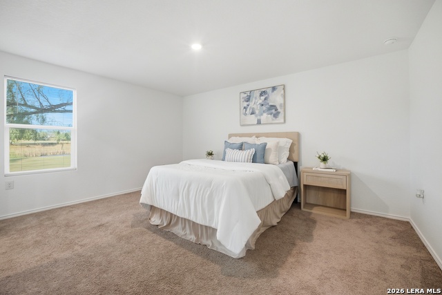 1355 Art Wall Way Property Photo 20