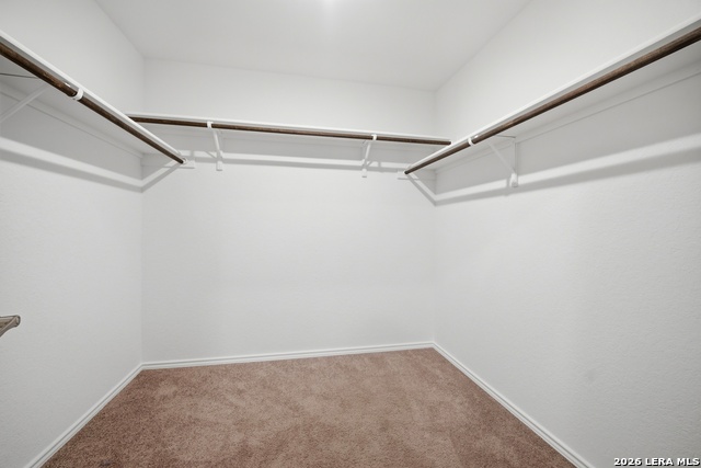 1355 Art Wall Way Property Photo 24