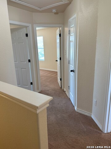 16917 Showdown Path Property Photo 9