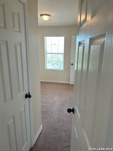 16917 Showdown Path Property Photo 10