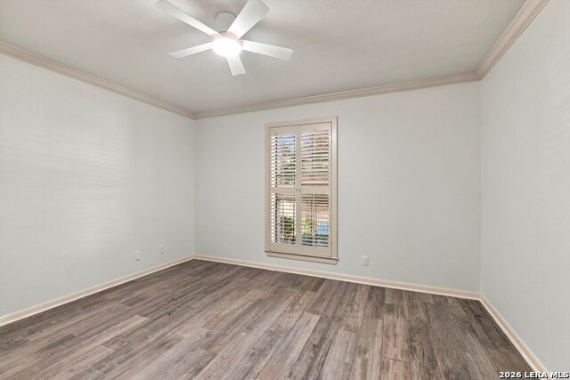 8415 Fredericksburg Property Photo 12