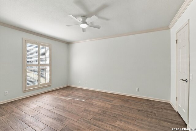 8415 Fredericksburg Property Photo 13