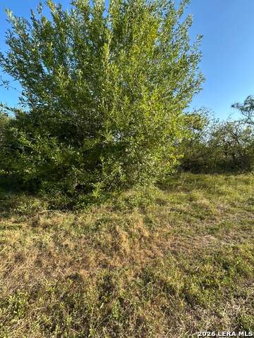 338 Proctor Blvd Property Photo 2
