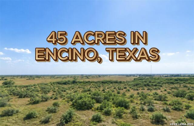 7307 S Highway 281 Property Photo 4