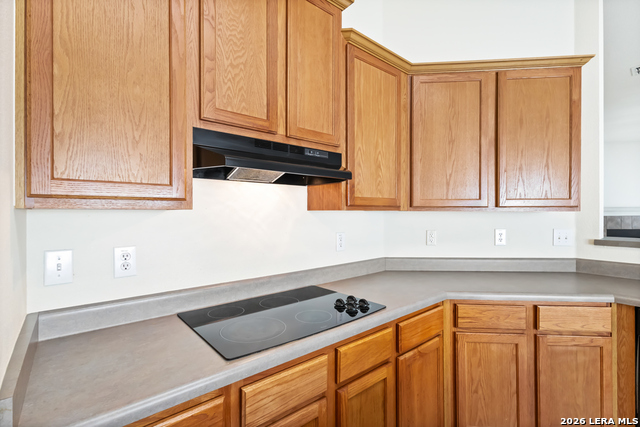 24415 Flint Crk Property Photo 9