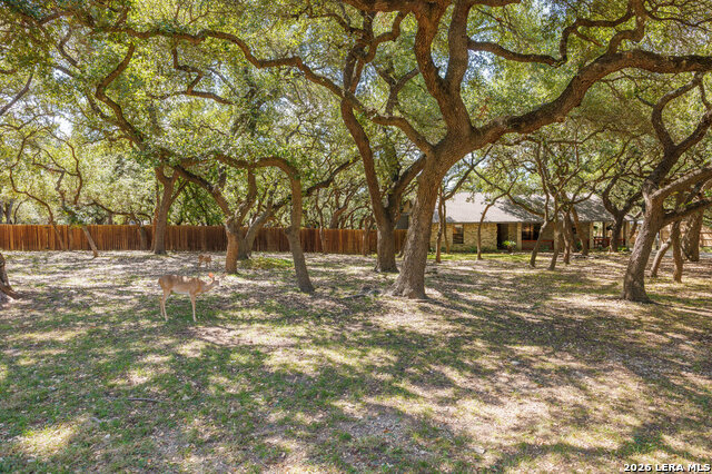112 Golden Morn Property Photo 1