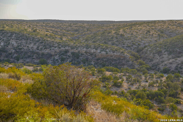 Tbd Us Hwy 90 Property Photo 20
