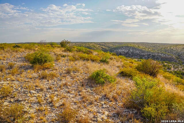 Tbd Us Hwy 90 Property Photo 21