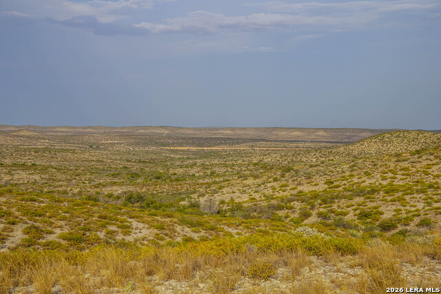 Tbd Us Hwy 90 Property Photo 22