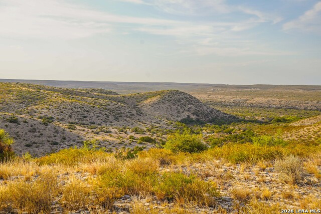 Tbd Us Hwy 90 Property Photo 23