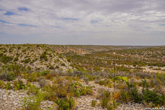 Tbd Us Hwy 90 Property Photo 50