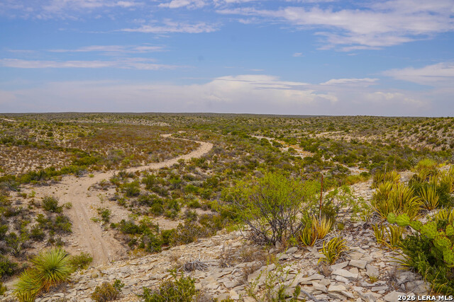 Tbd Us Hwy 90 Property Photo 51