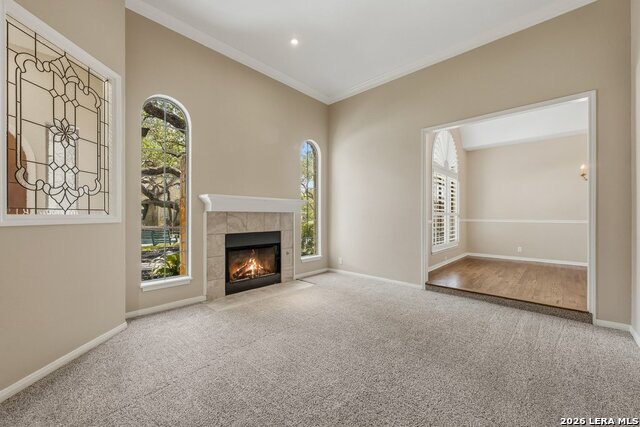 17319 Fountain Mist Property Photo 4