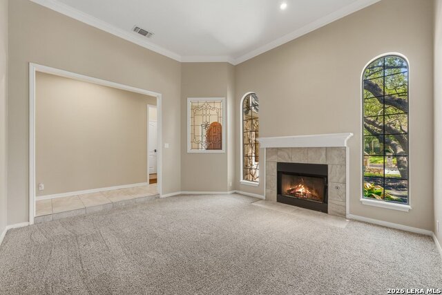 17319 Fountain Mist Property Photo 6