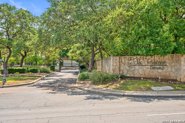 17319 Fountain Mist Property Photo 68