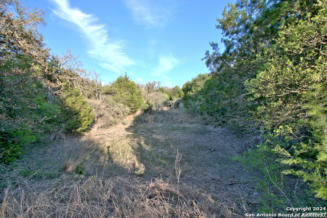 162 Zinnia Ave Property Photo 7
