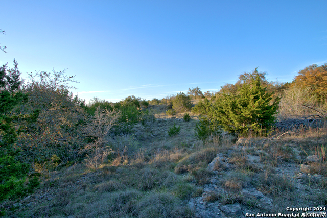 162 Zinnia Ave Property Photo 9