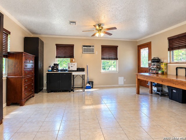 807 Frio Property Photo 3