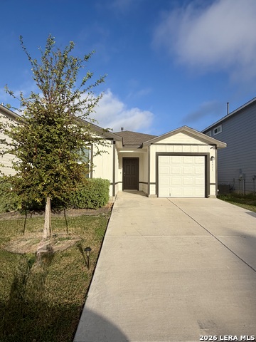 9951 Spotted Rose Property Photo 5