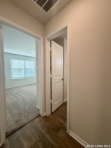 9951 Spotted Rose Property Photo 8