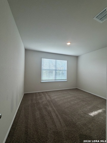 9951 Spotted Rose Property Photo 9