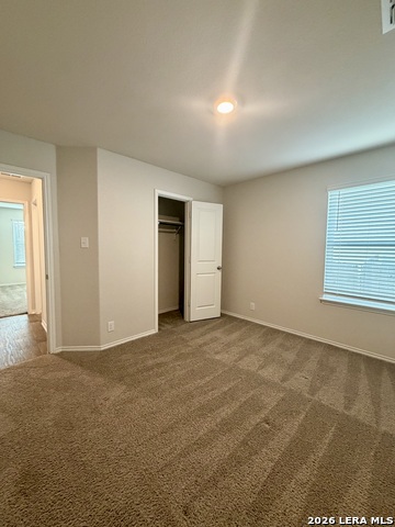 9951 Spotted Rose Property Photo 17