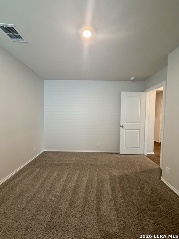 9951 Spotted Rose Property Photo 19