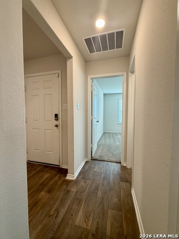 9951 Spotted Rose Property Photo 20