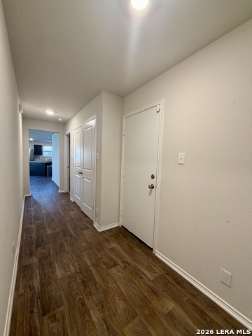 9951 Spotted Rose Property Photo 21