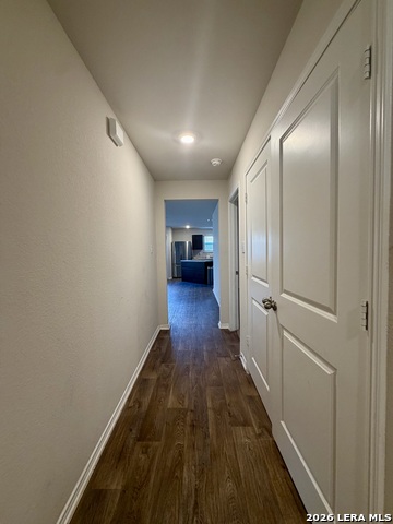 9951 Spotted Rose Property Photo 23