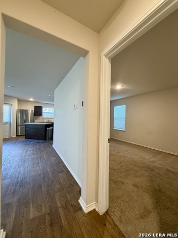 9951 Spotted Rose Property Photo 25