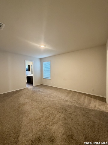 9951 Spotted Rose Property Photo 26