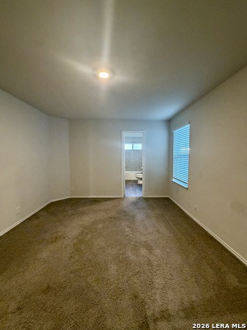 9951 Spotted Rose Property Photo 27