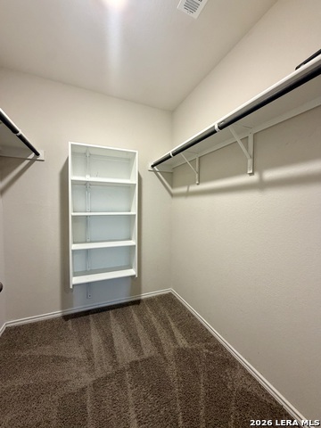 9951 Spotted Rose Property Photo 29